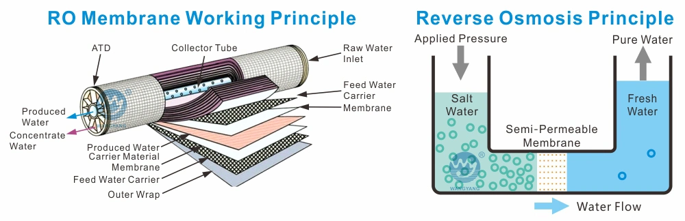 Water Treatment Chemicals Containerized Desalination Equipment