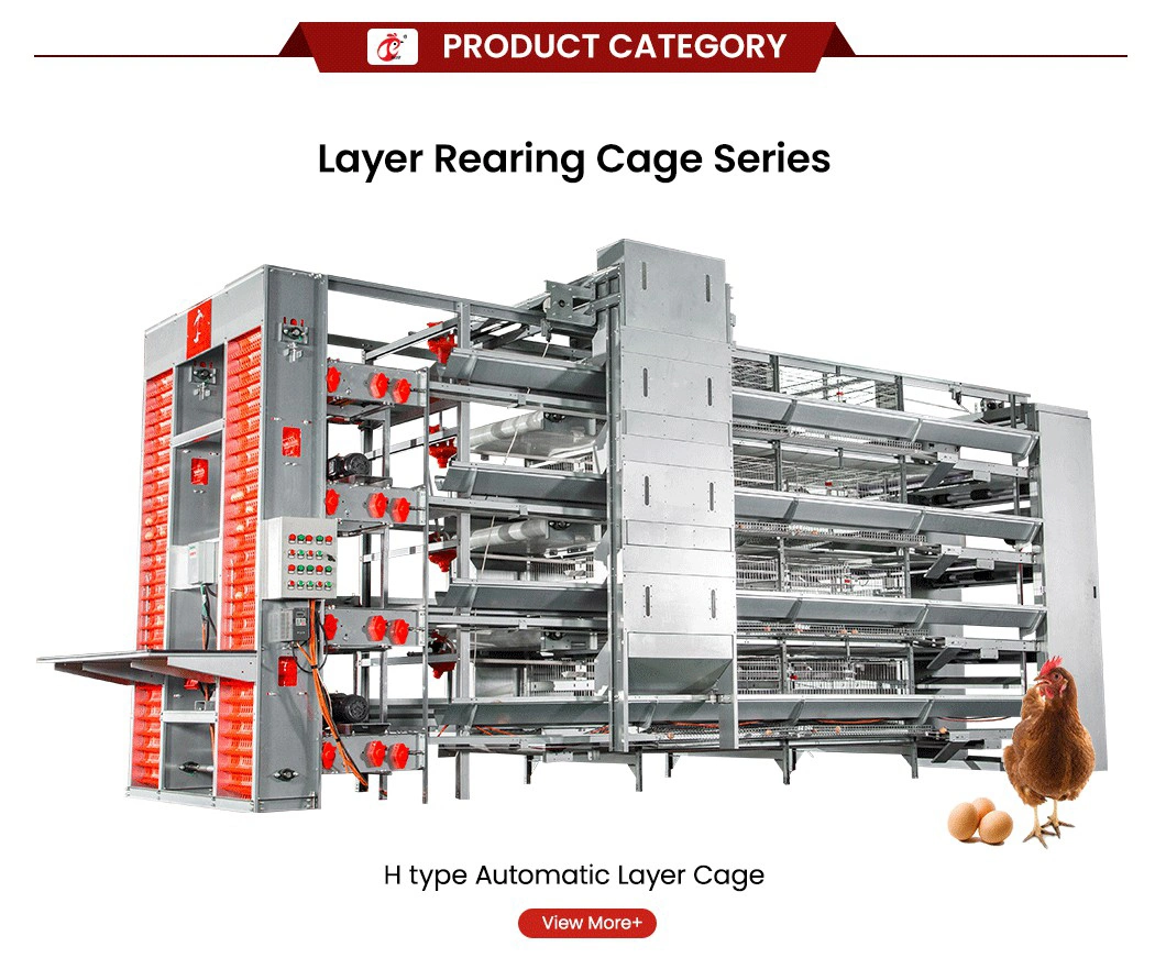 Bestchickencage Ordinary Type Layer Cage China Layer Small Chicken Coop Manufacturer ODM Custom 2cm Cutting Thickness Chicken Cages Egg Layer Poultry Farm