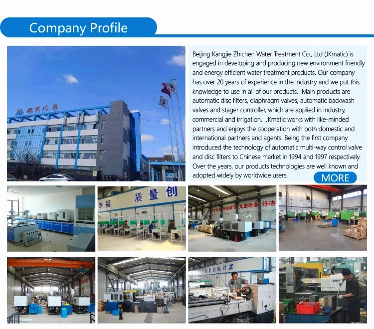 China Factory Sea Water Treatment Desalination Equipment for Water Pre-Treatment