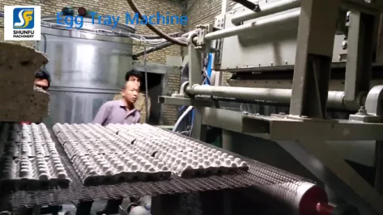 Oeuf faisant la doublure d'équipement de machine de recyclage de papier de rebut